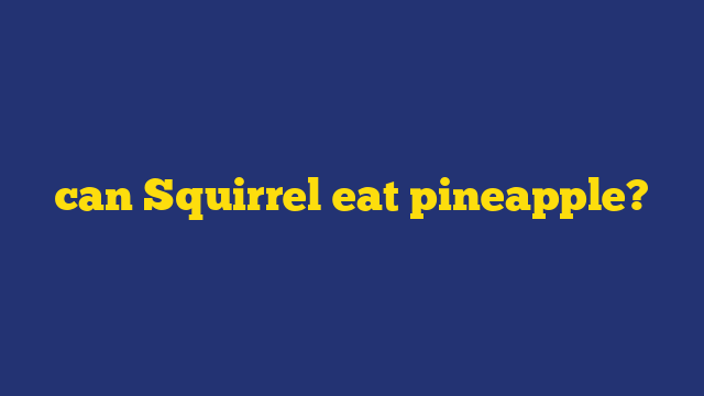 can Squirrel eat pineapple?