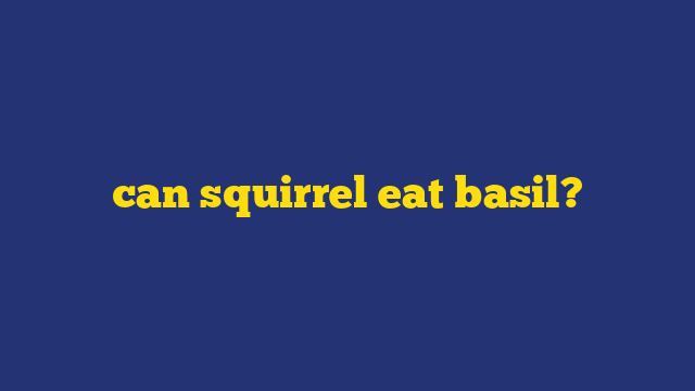 can squirrel eat basil?