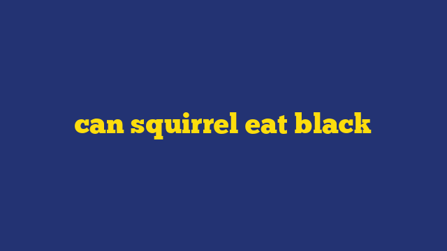 can squirrel eat black