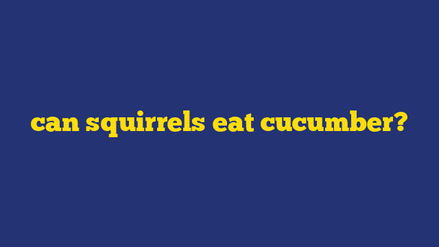 can squirrels eat cucumber?