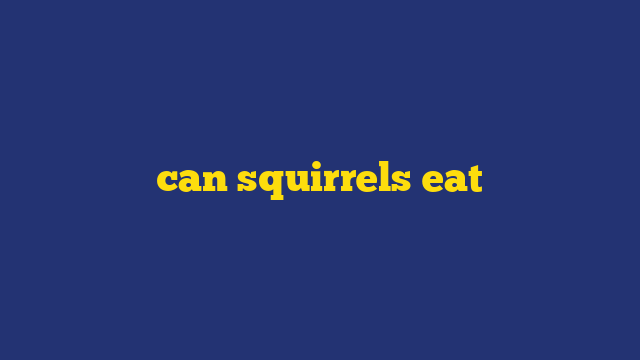 can squirrels eat