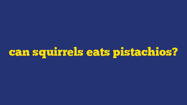 can squirrels eats pistachios?