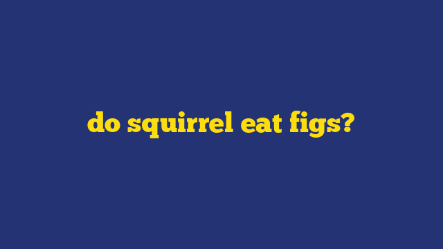 do squirrel eat figs?